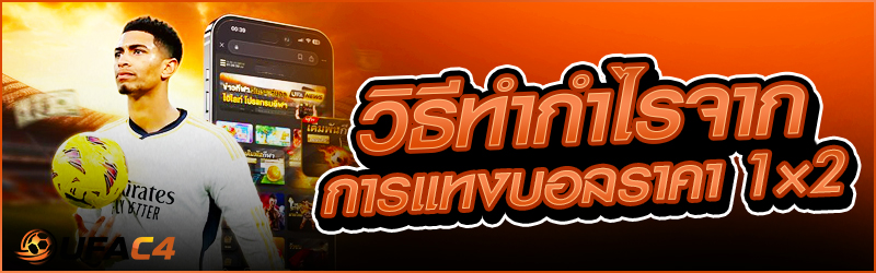 แทงบอล